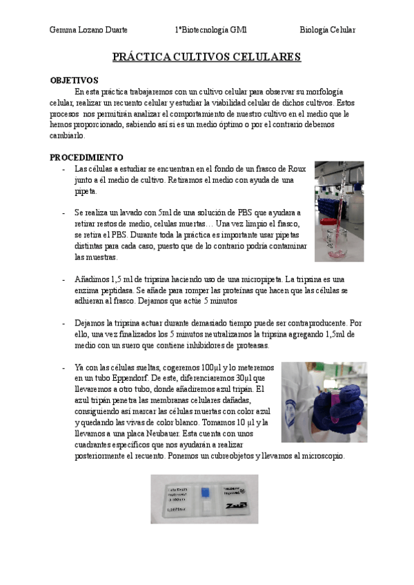 Miniatura del documento Practica-3-Cultivos-celulares.pdf