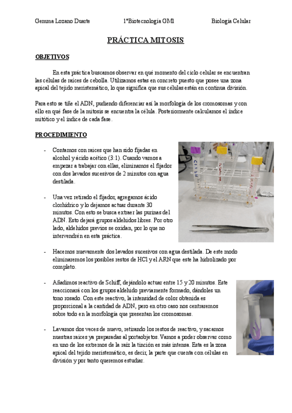 Miniatura del documento Practica-6-Mitosis.pdf