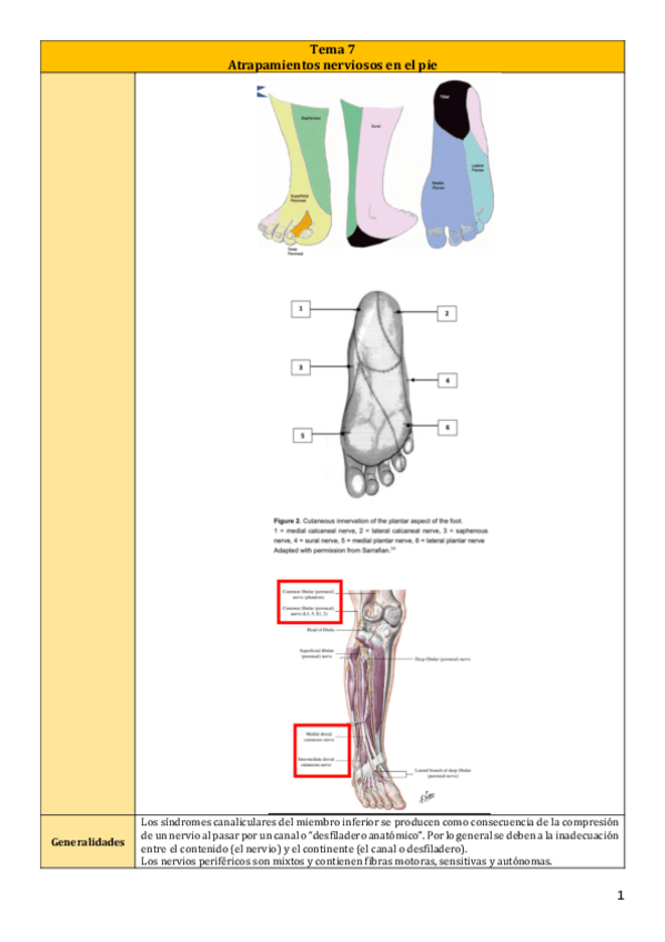 Miniatura del documento Tema-7.pdf
