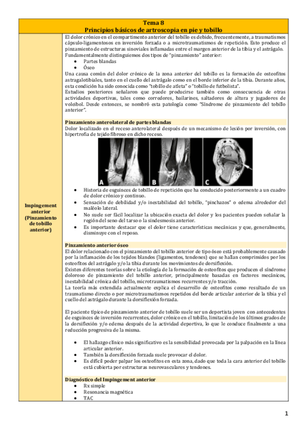Miniatura del documento Tema-8.pdf