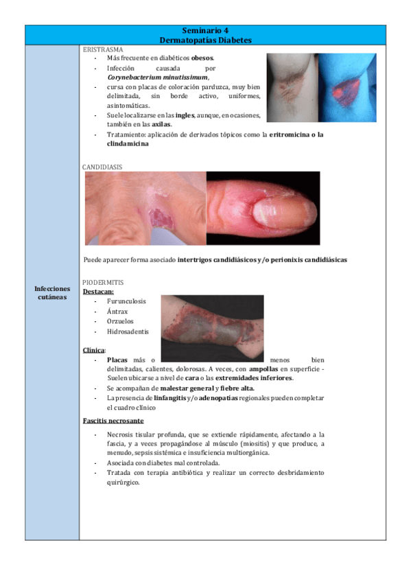 Miniatura del documento Seminario-4.pdf