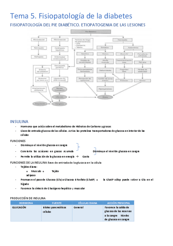 Miniatura del documento Tema-5.pdf