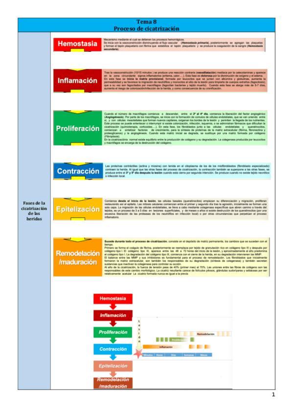 Miniatura del documento Tema-8.pdf