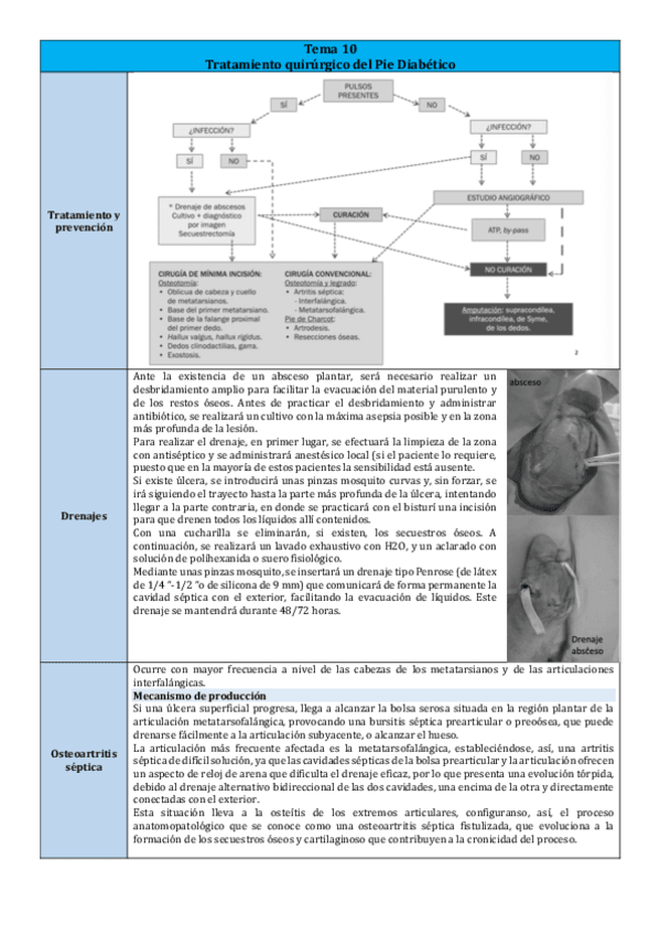 Miniatura del documento Tema-10.pdf