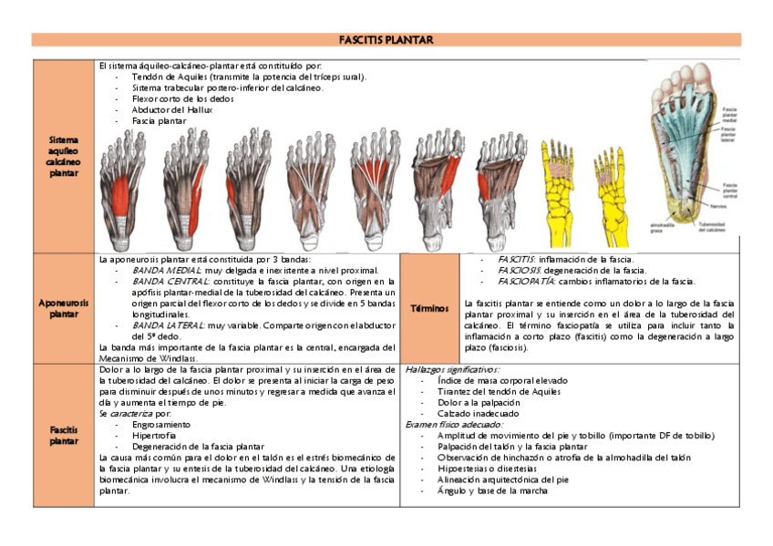 Miniatura del documento FASCITIS-PLANTAR.pdf