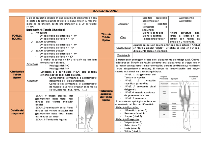 Miniatura del documento TOBILLO-EQUINO.pdf