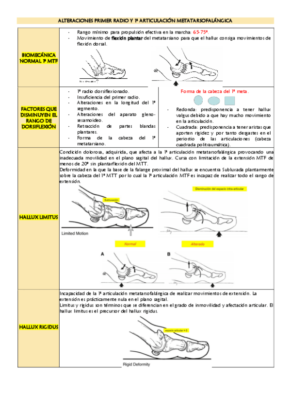 Miniatura del documento Alteraciones-primer-radio-y-1a-metatarsofalangica.pdf