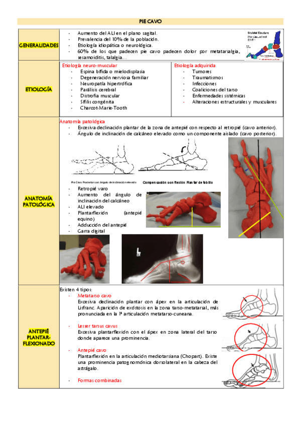 Miniatura del documento Pie-cavo.pdf