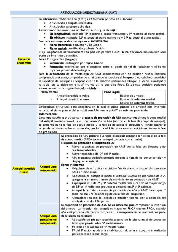 Miniatura del documento AMT.pdf