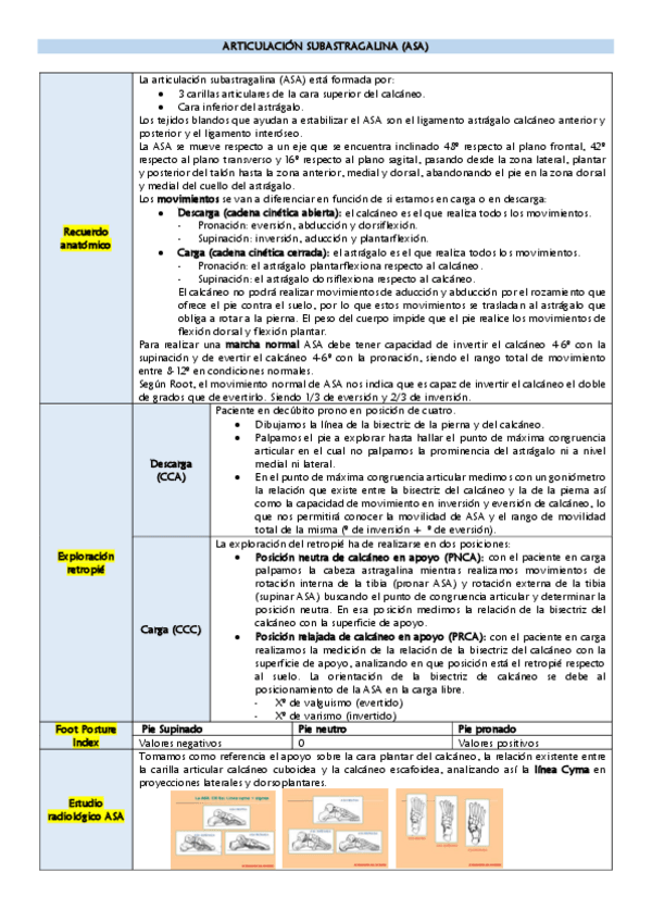 Miniatura del documento ASA.pdf
