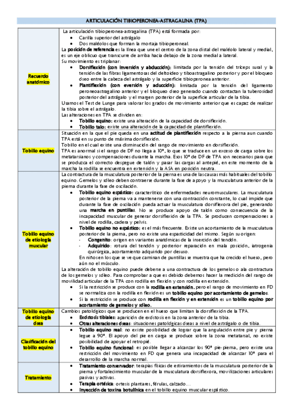 Miniatura del documento TPA.pdf