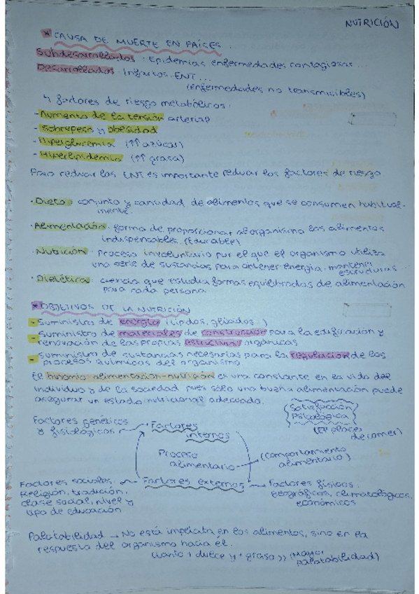 Miniatura del documento FUNDAMENTOS DE NUTRICIÓN Y ALIMENTACIÓN.  TEMAS 1-8.pdf