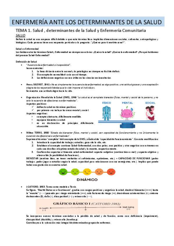 Miniatura del documento TEMA-1.-Salud-determinantes-de-la-Salud-y-Enfermeria-Comunitaria.pdf