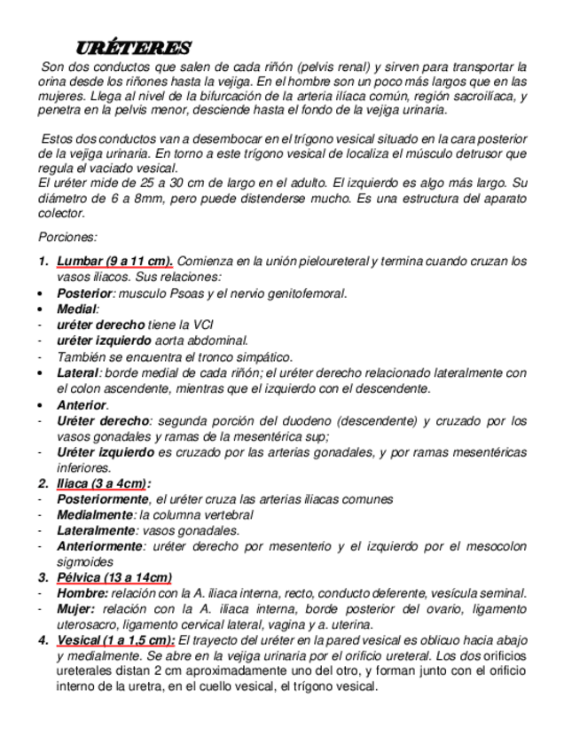 Miniatura del documento URETERES, VEJIGA Y URETRA.pdf