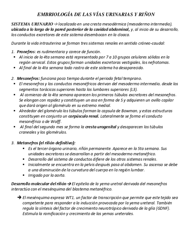 Miniatura del documento Resumen de embriología de las vías urinarias y del riñón.pdf