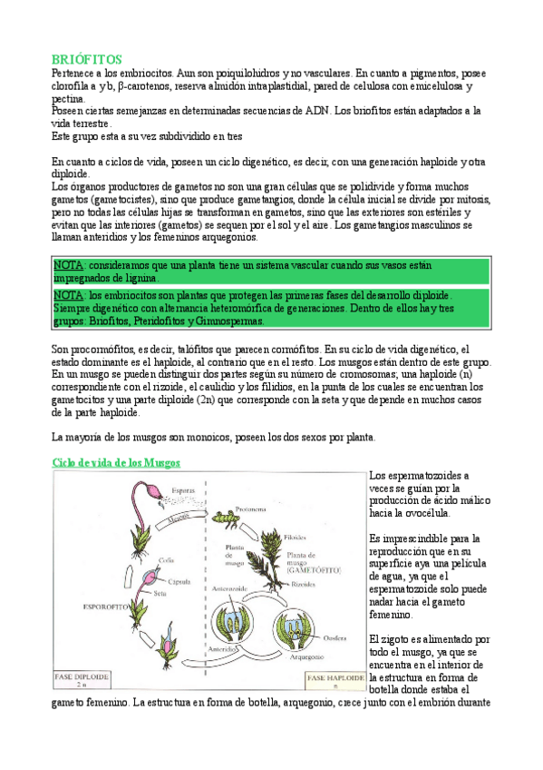 Miniatura del documento Tema 5 briofitos.pdf
