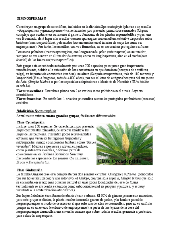 Miniatura del documento Tema 7 Gimnospermas.pdf