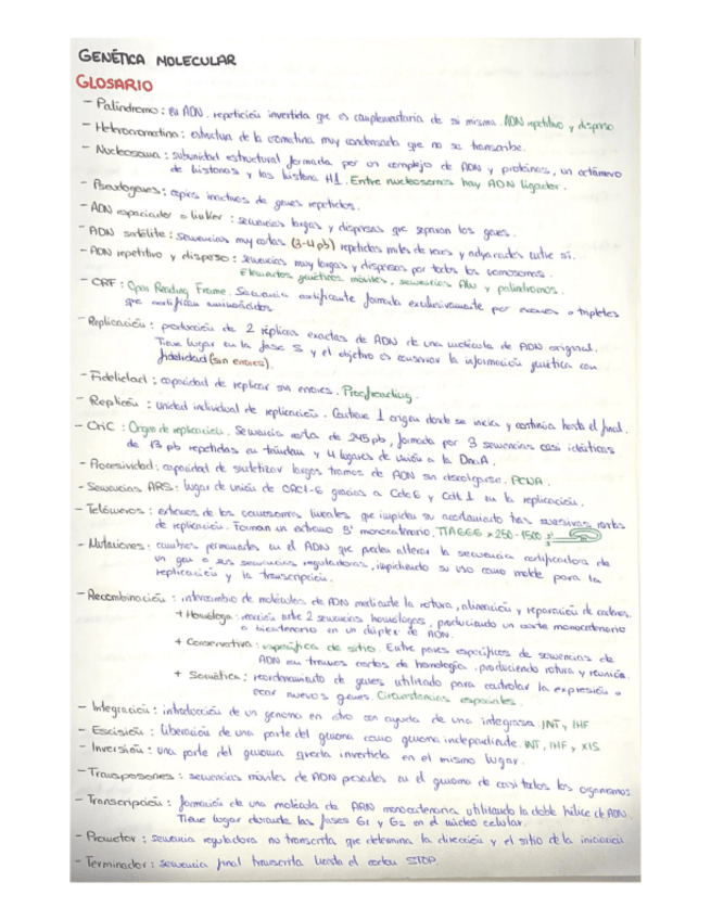 Miniatura del documento Glosario.pdf