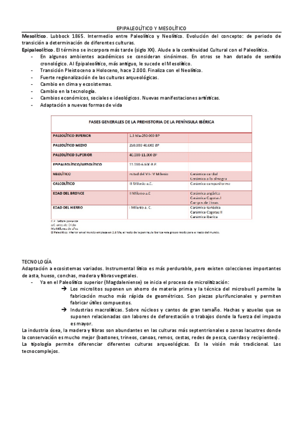Miniatura del documento EPIPALEOLITICO-Y-MESOLITICO.pdf