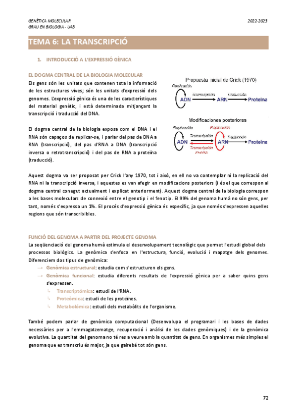 Miniatura del documento Genetica-Molecular-Parcial-II.pdf