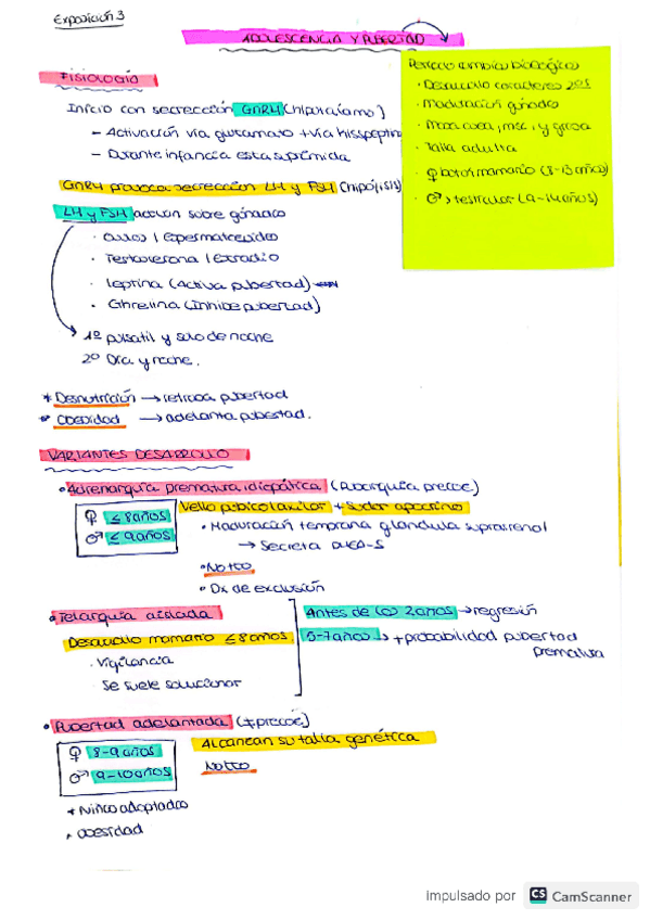 Miniatura del documento expo-3.pdf
