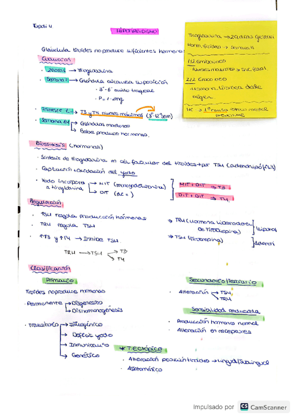 Miniatura del documento expo-4.pdf