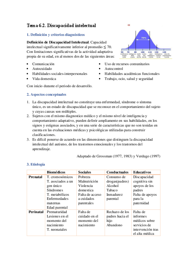 Miniatura del documento Tema-6.2.-Discapacidad-intelectual.pdf