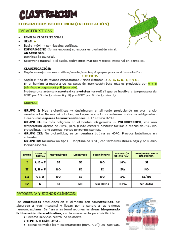 Miniatura del documento CLOSTRIDIUM.pdf