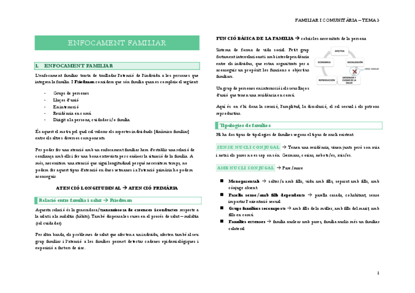 Miniatura del documento 3.-ENFOCAMENT-FAMILIAR.pdf