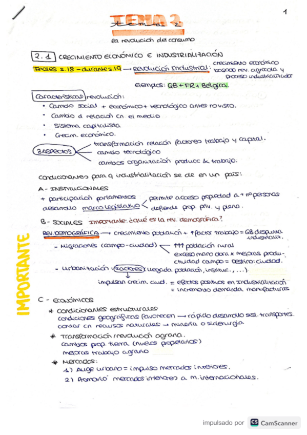 Miniatura del documento TEMA-2-historia.pdf