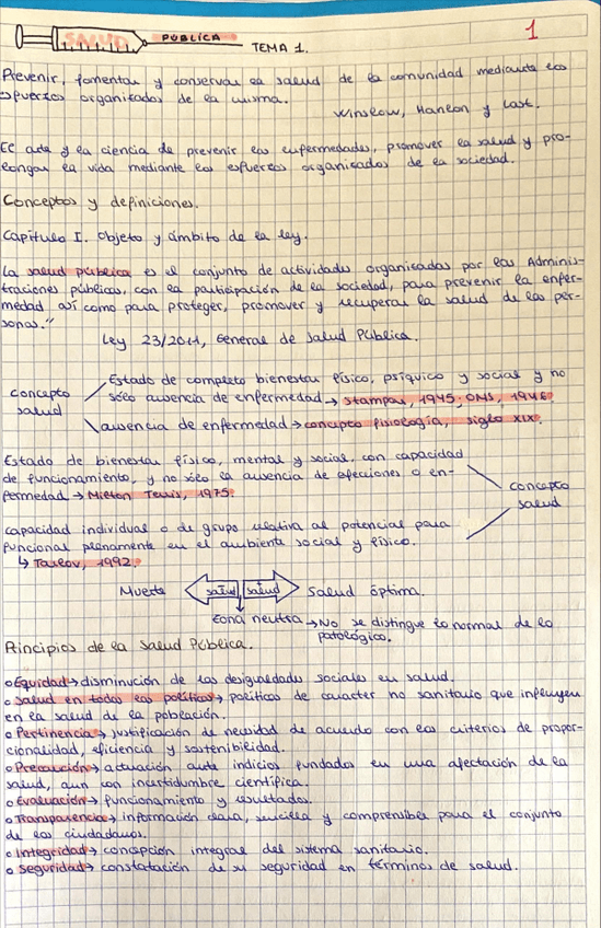 Miniatura del documento SPUBLICA-T1.pdf