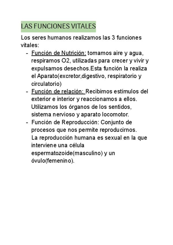 Miniatura del documento LAS-FUNCIONES-VITALES-6o-PRIMARIA.pdf