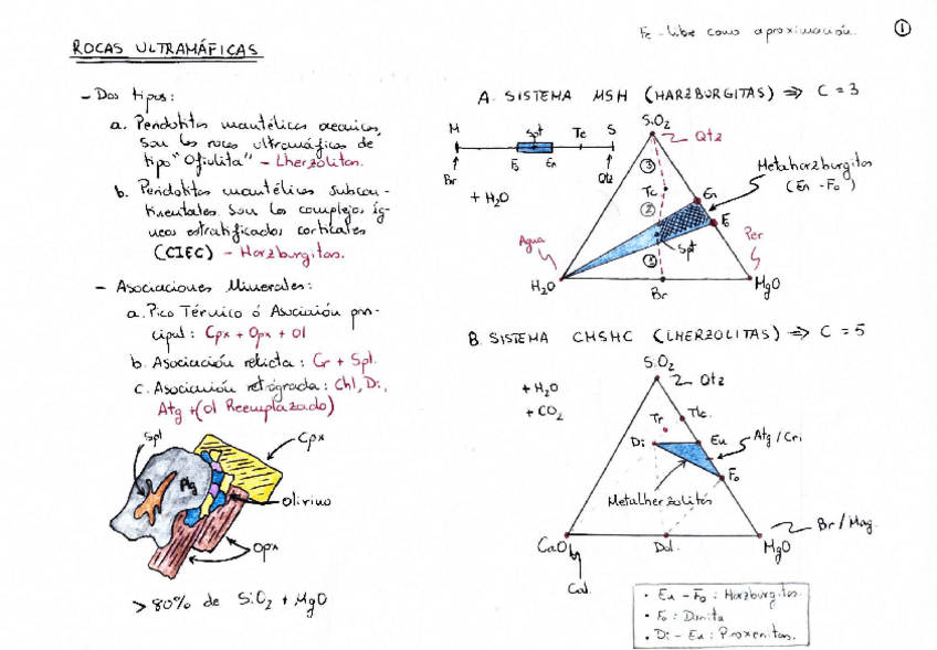 Miniatura del documento Scan 29 dic 17.pdf