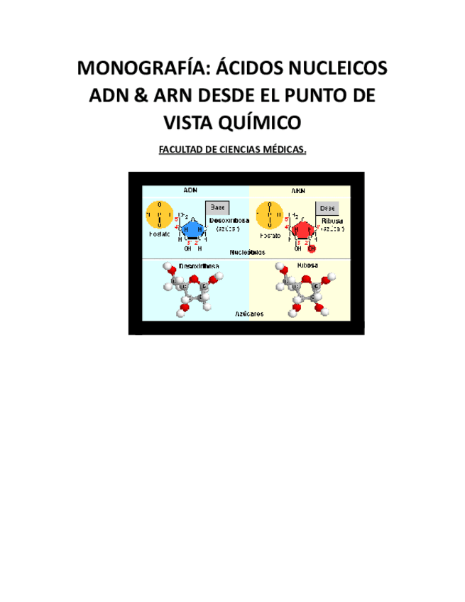 Miniatura del documento ADN-y-ARN-.pdf
