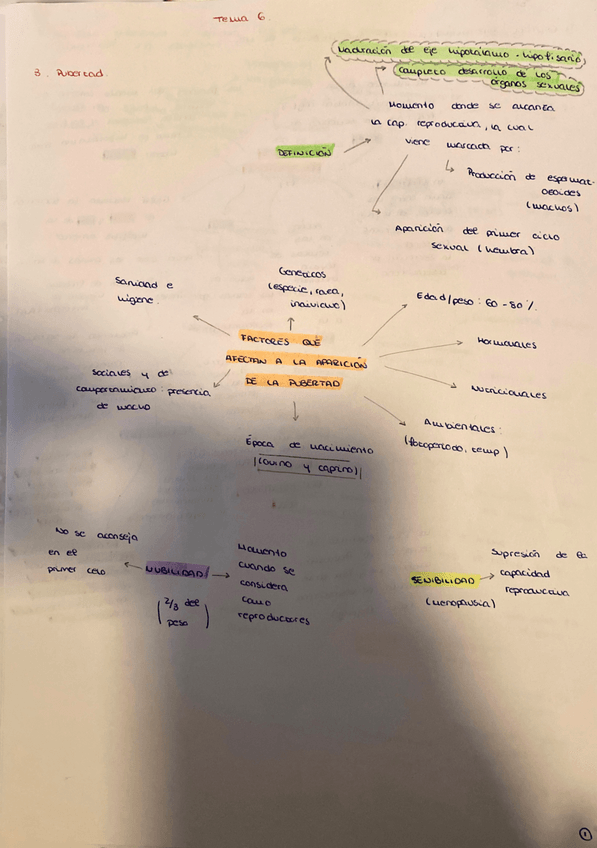Miniatura del documento tema6.pdf