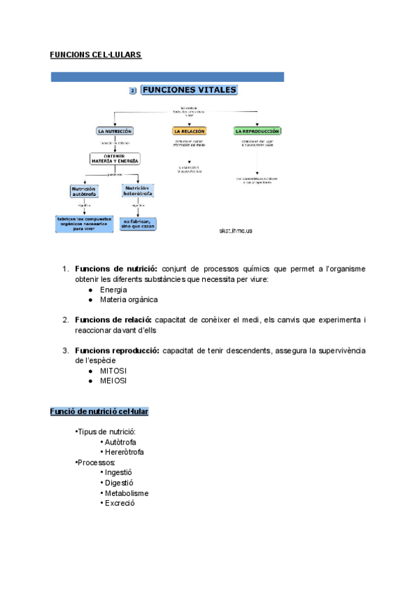 Miniatura del documento UF1NF1-FUNCIONS-CELLULARS.pdf