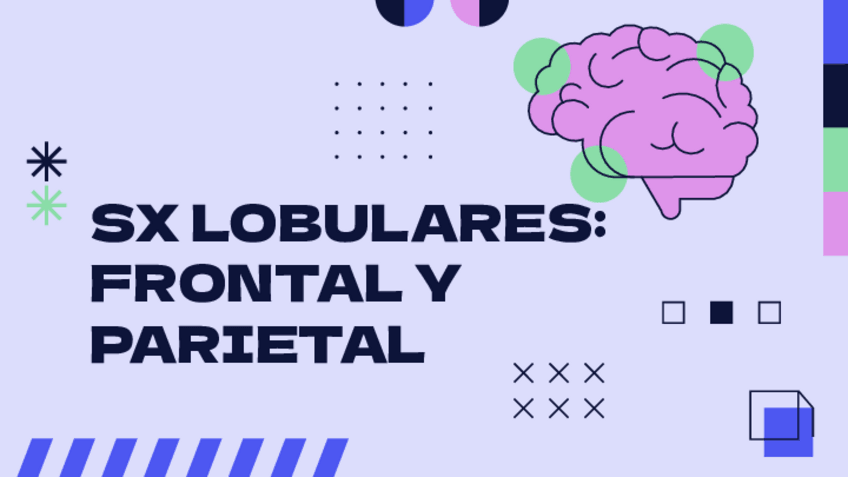 Miniatura del documento SX-LOBULARES-FRONTAL-Y-PARIETAL.pdf