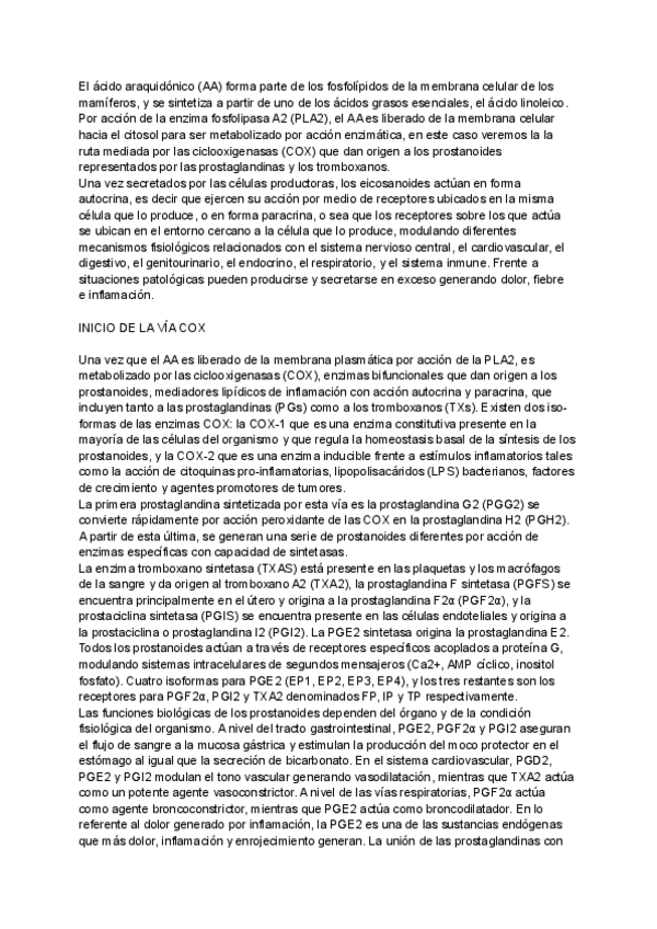 Miniatura del documento RUTA-COX-AINES.pdf