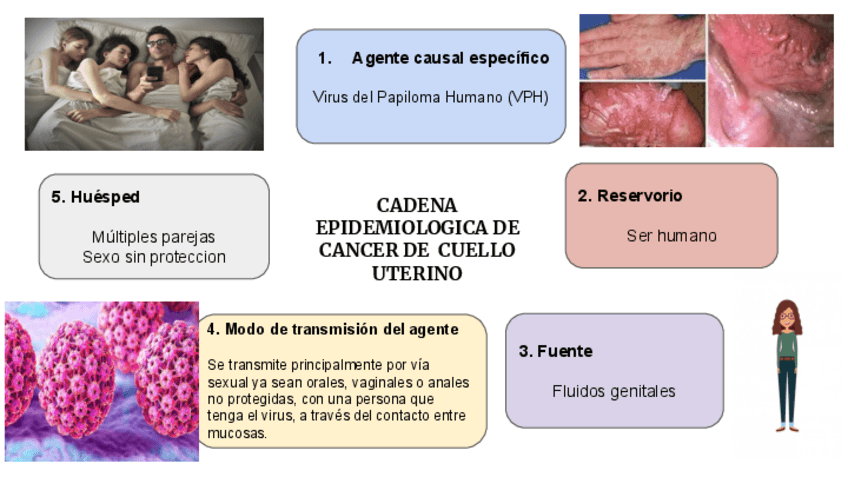 Miniatura del documento CADENA-EPIDEMIOLOGIA-DEL-VPH.pdf