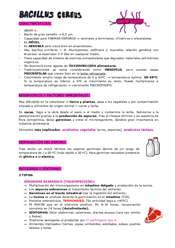 Miniatura del documento BACILLUS-CEREUS.pdf