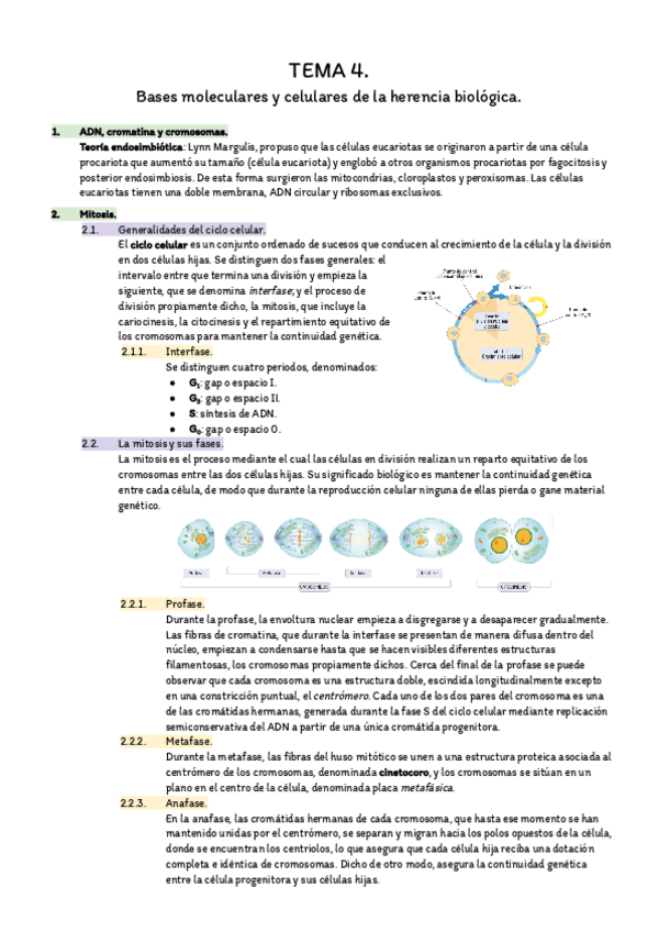 Miniatura del documento Resumen-temas-4-5-19-y-23.pdf