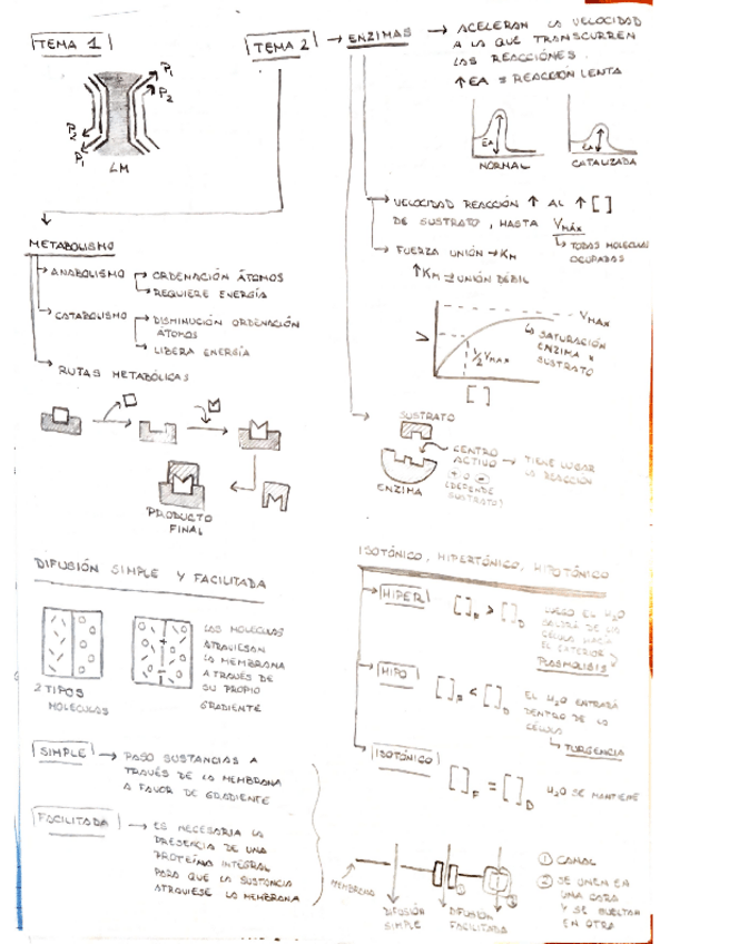 Miniatura del documento Bio-temas-1-8.pdf