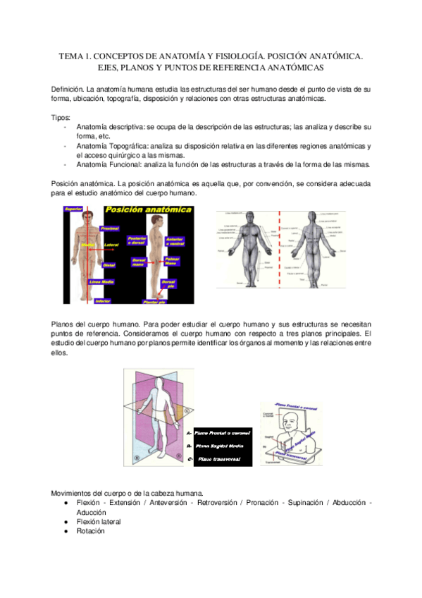 Miniatura del documento ANATOMIA-Y-FISIOLOGIA-DE-LOS-ORGANOS-DEL-LENGUAJE.pdf