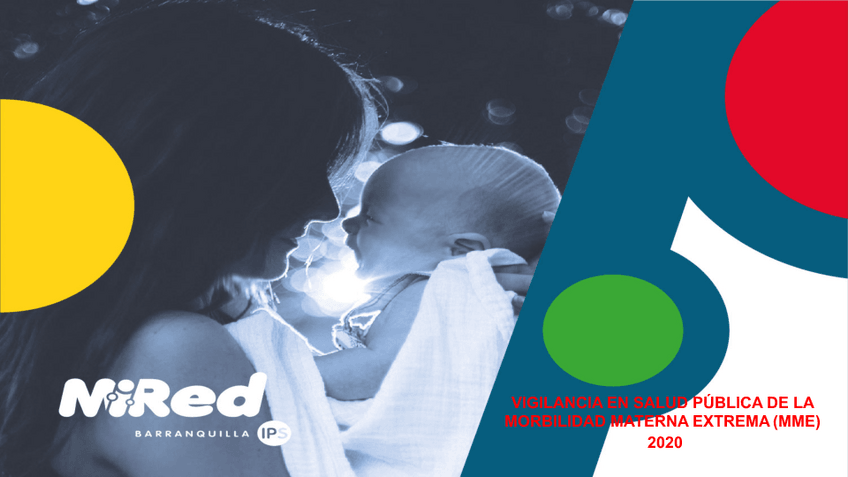 Miniatura del documento MME-2019.pptx-2020.pdf