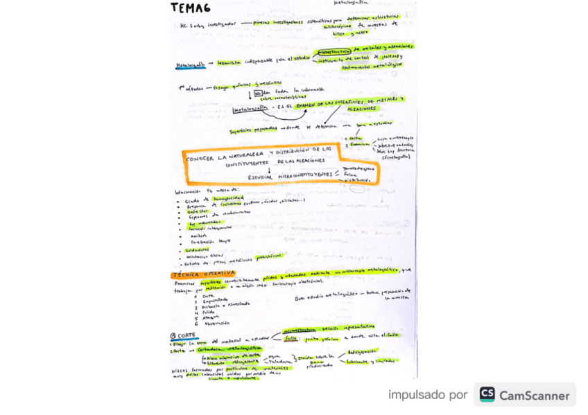 Miniatura del documento RESUMEN-TEMA-6.pdf