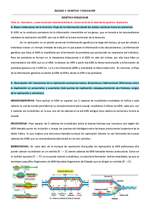 Miniatura del documento BIOLOGIA-3.pdf