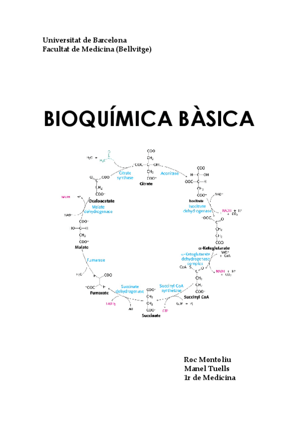 Miniatura del documento Comi_BQ.pdf