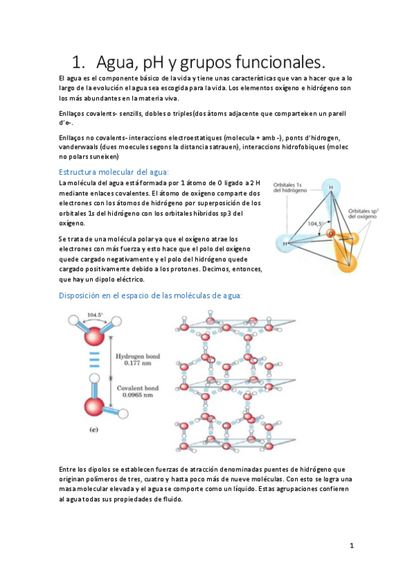 Miniatura del documento Quimica final-1.pdf
