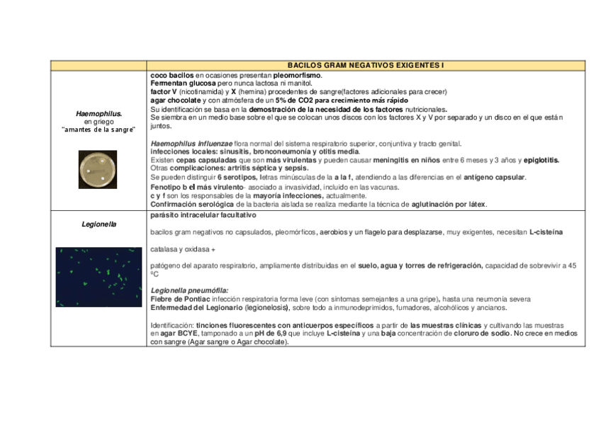 Miniatura del documento Bacilos-gram-negativos-exigentes-I.pdf