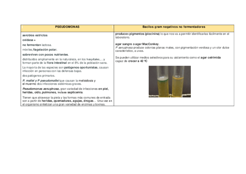 Miniatura del documento PSEUDOMONAS.pdf